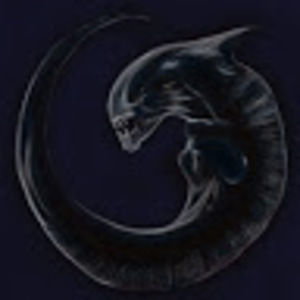 Meet your Posher, Leo